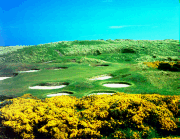 Golf Royal Aberdeen
